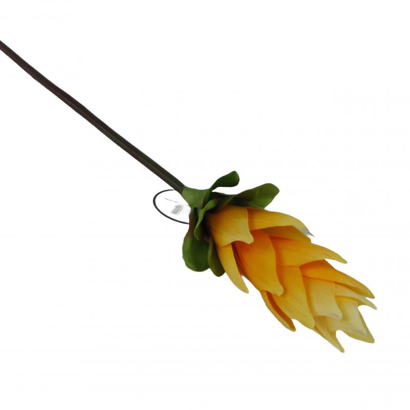 Kurkuma 50cm pomarańczowa (12 sztuk)